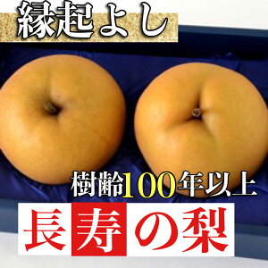 yӂ邳Ɣ[ŁzyYāz100NȏEN̂悢̗ 1.2kgiY t[c iV V ʕ  p v[gj