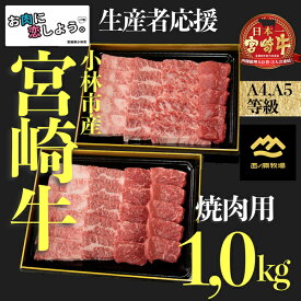 【ふるさと納税】【生産者支援】A4等級以上小林市産宮崎牛おためし焼肉　1.0kg