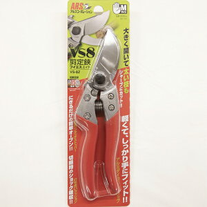 yӂ邳Ɣ[ŁzyvpñAXzAX̙uCGXGCg@iVS-8Zj