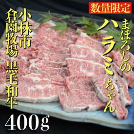 【ふるさと納税】【黒毛和牛専門店直送】小林市産黒毛和牛まぼろしのハラミちゃん