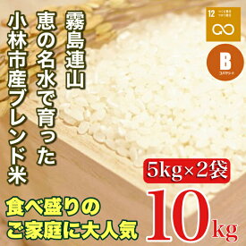 【ふるさと納税】【生活応援米】湧水で育った小林市産ブレンド米 10kg（5kg×2袋 お米 米 ブレンド米 白米 精米 家庭用）