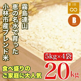 【ふるさと納税】【生活応援米】湧水で育った小林市産ブレンド米 20kg（5kg×4袋 お米 米 ブレンド米 白米 精米 家庭用）