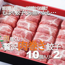 【ふるさと納税】【餃子 ハンバーグ】宮崎県産ポークで包んだ肉巻きハンバーグ餃子10個×2Pセット（国産 豚 餃子 ハンバーグ 冷凍 惣菜 簡単調理 人気 地域限定 宮崎 小林市）