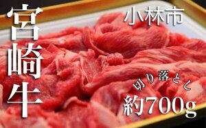 yӂ邳Ɣ[ŁzA4ȏ {苍؂藎Ƃ 700giјa uh ؂藎Ƃ Ă tb܁j