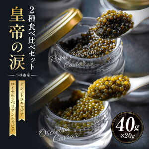 yӂ邳Ɣ[ŁzLrA Hה Zbg 2 v40g c̗ Y `EU  {茧 CVxA IVFg