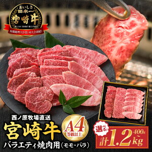 yӂ邳Ɣ[ŁzyA4ȏz{苍oGeBēp@400g~1.2kg {苍    o ē Zbg BBQ SĂ mq sr[Ly[{t