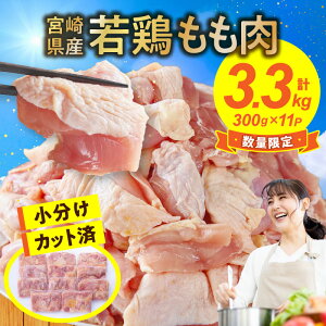 yӂ邳Ɣ[Łzyʌtz{  { { 3.3kg 300g×11P  Jbgς Ⓚ  { Y Hi lC Y BBQ  Z pbN `L     