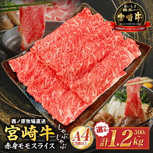 yӂ邳Ɣ[Łz{茧mqEA4ȏ{苍ԐgԂԃ 300g~1.2kgiY   {苍 јa Ԑg  Ă ē lC  XCXj