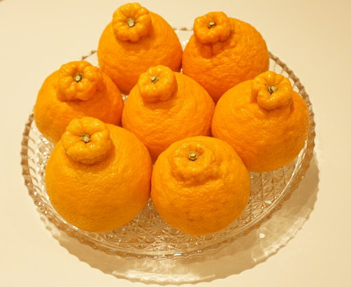 楽天市場 ふるさと納税 先行予約 たけちゃん農園直送 じゅわーっと甘い不知火約3kg ハウス栽培 化粧箱入り 10 74 宮崎県日向市