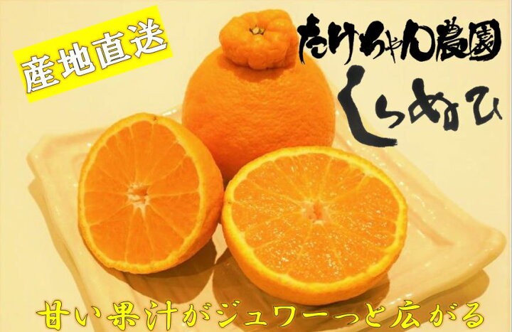 楽天市場 ふるさと納税 先行予約 たけちゃん農園直送 じゅわーっと甘い不知火約3kg ハウス栽培 化粧箱入り 10 74 宮崎県日向市