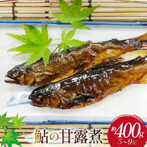 yӂ邳Ɣ[Łz y ̊ØI 400g [̐ {茧 s 452060876]    A ^ 퉷