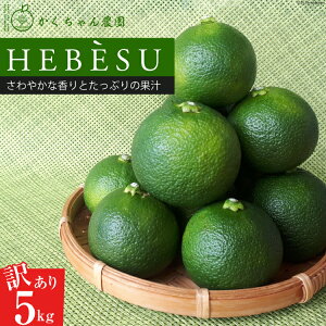 yӂ邳Ɣ[Łz yԌ蔭z 󂠂 ̂ꂽĂւׂ 5kg [_ {茧 s 452060673] ʕ k ւׂ q| wxX Ԍ ʌ KiO ƒp ʏ` _k 