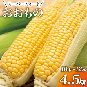 �y�ӂ邳�Ɣ[�Łz �y���Ԍ��蔭���z �Ƃ����낱�� �X�C�[�g�R�[�� �w�������́x4.5kg (10�{�`12�{) [���؂ӂ��[�� �{�茧 �����s 452060140] �g�E�����R�V ���x