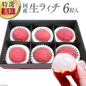 【ふるさと納税】 【期間限定発送】 特選 大粒 生ライチ 6粒入り [大黒園 宮崎県 日向市 452060924] 果物 フルーツ 国産 宮崎産