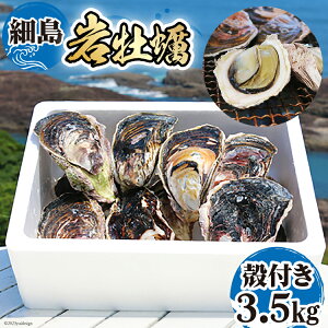yӂ邳Ɣ[Łz yԌ蔭z≲y kt ד KL 3.5kg [̉w {茧 s 452060570] 킪 ₪ y LC Z N[~[