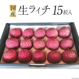 【ふるさと納税】 【期間限定発送】 生ライチ 15粒入り [大黒園 宮崎県 日向市 452060925] 果物 フルーツ 国産 宮崎産