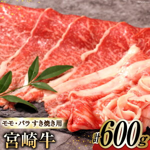 yӂ邳Ɣ[Łz  {苍 A4 A5  Eo Ă 600g [{n}[PeBO {茧 s 452061564]  XCX Ⓚ  o   {