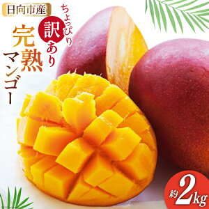 yӂ邳Ɣ[Łz y2026NĔz 󂠂 }S[ { n x12`14x Iׂ 700g`2kg [{茧_Ƌgn{i̔ہj {茧 s 452060660] ʕ t[c KiO ƒp 