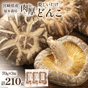yӂ邳Ɣ[Łz {茧Y ؍͔|   ǂ 70g 3 v210g [{g {茧 s 452061462]  ő   Y