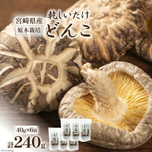 yӂ邳Ɣ[Łz {茧Y ؍͔|  ǂ 40g 6 v240g [{g {茧 s 452061461]  ő   Y
