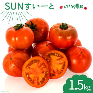 yӂ邳Ɣ[Łz yԌ蔭z g}g SUN[ 1.5kg×1 [ɂȔ_ {茧 s 452060918]  t[cg}g x Â