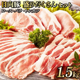 【ふるさと納税】 レビューキャンペーン 日向豚 盛りだくさんセット 1.5kg [JAみやざき 日向肉豚部会 宮崎県 日向市 452060632] 肉 豚肉 豚 ロース バラ しゃぶしゃぶ とんかつ トンカツ