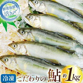 【ふるさと納税】 鮎 冷凍 こだわりの鮎 約1kg [あゆの是則 宮崎県 日向市 452060318] あゆ アユ 魚 魚介 川魚 塩焼き 甘露煮