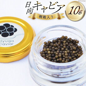 【ふるさと納税】日向キャビア(Hyuga Caviar) 10g【桐箱入り】(冷凍・フレッシュキャビア) [宮崎キャビア 宮崎県 日向市 452060322]