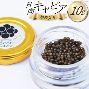 yӂ邳Ɣ[Łz LrA LrA (Hyuga Caviar) 10g ˔ [EBYENGCeBu {茧 s 452060890] Ⓚ { Y `EU tbV r