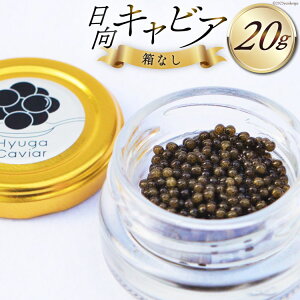 yӂ邳Ɣ[Łz LrA LrA (Hyuga Caviar) 20g Ȃ [EBYENGCeBu {茧 s 452060891] Ⓚ { Y `EU tbV r