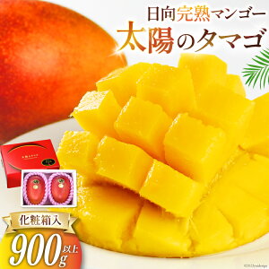 yӂ邳Ɣ[Łz y2026NĔz { n }S[ z̃^}S Gi 900gȏ [{茧_Ƌgn{i̔ہj {茧 s 452060664] ʕ t[c n}S[ Â 