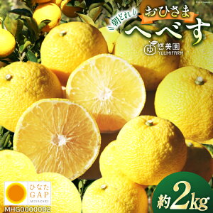 yӂ邳Ɣ[Łz yԌ蔭z Ђ܂ւׂ ЂȂGAPF ӂ낢 2kg [ւׂ̗I {茧 s 452060723] ւׂ wxX { ʕ t[c  k ||  ʏ`