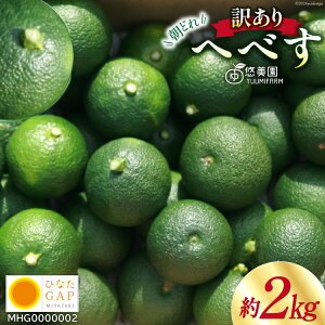 yӂ邳Ɣ[Łz yԌ蔭z ւׂ ЂȂGAPF ӂ낢 2kg [ւׂ̗I {茧 s 452060725] wxX { ʕ t[c  k ||  ʏ`