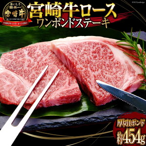 yӂ邳Ɣ[Łz  {苍 A4 A5  [X |h Xe[L 454g (WF-130) [{n}[PeBO {茧 s 452060960] Ⓚ 1|h   Y 450g   {