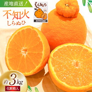 yӂ邳Ɣ[ŁzyԌ蔭z[ƊÂ sm 3kginEX͔|Eϔj [_ {茧 s 452060822] ʕ t[c k