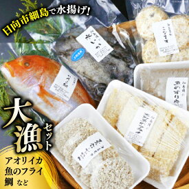 【ふるさと納税】 レビューキャンペーン 海の駅ほそしま 大漁 セット [海の駅 ほそしま 宮崎県 日向市 452060079] 冷凍 アオリイカ 魚 フライ すり身 詰め合わせ