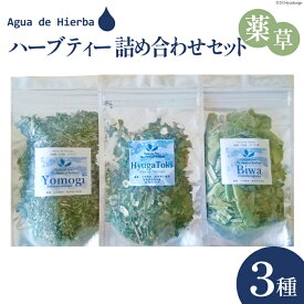 【ふるさと納税】ハーブティー 詰め合わせ 薬草 セット 3種×各1袋 [Agua de Hierba 宮崎県 日向市 452060452] お茶 ハーブ 日向当帰 びわ よもぎ 茶 ティーバッグ 簡易包装