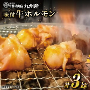 yӂ邳Ɣ[Łz BY t z 300g×10 v3kg [b㐸X {茧 s 452060712]   t  t ē  Ⓚ  Ă z BY Y BBQ