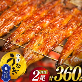 【ふるさと納税】【丑の日】《7/21迄にお届け》うなぎ 鰻楽 ハーブ うなぎ蒲焼 2尾 計360g タレ山椒付き 宮崎 日向市産 [鰻楽 宮崎県 日向市 452060665] 真空パック 国産 蒲焼き 長焼き ウナギ 鰻 長蒲焼 冷凍 レビューキャンペーン