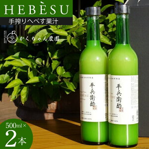 yӂ邳Ɣ[Łz _̎ւׂʏ` 500ml×2{ Zbg [_ {茧 s 452060675] ʕ k ւׂ wxX q| ʏ`  