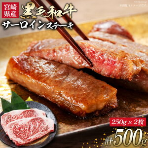 yӂ邳Ɣ[Łz  јa {Y T[CXe[L(250g×2) v500g [EBYENGCeBu {茧 s 452061463] a  Xe[L T[C Ⓚ ^pbN