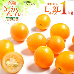 yӂ邳Ɣ[Łz r[Ly[ yԌ蔭z 󂠂 n  ܂ 1kgsnEX͔|t [_ {茧 s 452060981] s\ 񂩂 LJ t[c { Â L