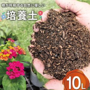 yӂ邳Ɣ[Łz |{y 10L [n {茧 s 452061025] y ӂӂ A ϗtA K[fjO | ƒ؉  |{ y A Lb`K[f Ԓd 