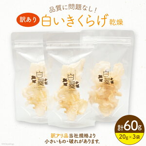 yӂ邳Ɣ[Łz 󂠂 炰  炰 20g 3 v 60g [炰 X {茧 s 452061063] Y LNQ ؎ 