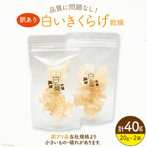 yӂ邳Ɣ[Łz 󂠂 炰  炰 20g 2 v 40g [炰 X {茧 s 452061064] Y LNQ ؎ 