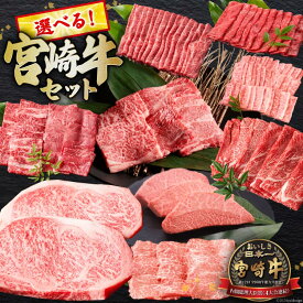 【ふるさと納税】 レビューキャンペーン 牛肉 選べる 宮崎牛 セット ウデ モモ バラ 肩ロース ミスジ ロース [ミヤチク 宮崎県 日向市 452061226] 冷凍 小分け A4 A5 肉 赤身 焼肉 すき焼き ステーキ しゃぶしゃぶ 薄切り