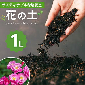 yӂ邳Ɣ[Łz |{y Ԃ̓y 1L 1 [GR {茧 s 452060428]  A ƒ؉ K[fjO | y