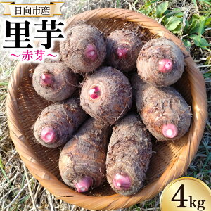yӂ邳Ɣ[Łz yԌ蔭z  ԉ 4kg [b㎩Rh_ {茧 s 452060524] Ƃ zNzN