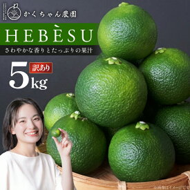 【ふるさと納税】 【期間限定発送】 訳あり 採れたてへべす 5kg [かくちゃん農園 宮崎県 日向市 452060673] 果物 柑橘 へべす 平兵衛酢 ヘベス 期間限定 数量限定 規格外 家庭用 果汁 香酸柑橘 調味料 宮崎 ビタミンC アミノ酸 国産 種が少ない