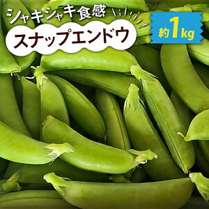 yӂ邳Ɣ[ŁzyԌ蔭z  XibvGhE 1kg [_ {茧 s 452061219] XibNGhE Y